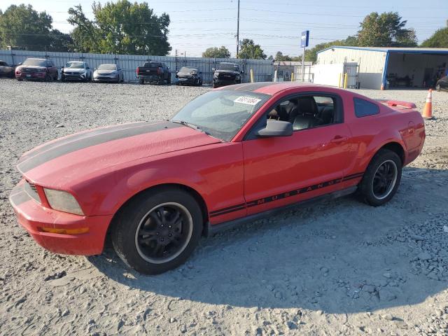 ford mustang 2005 1zvht80n955184303