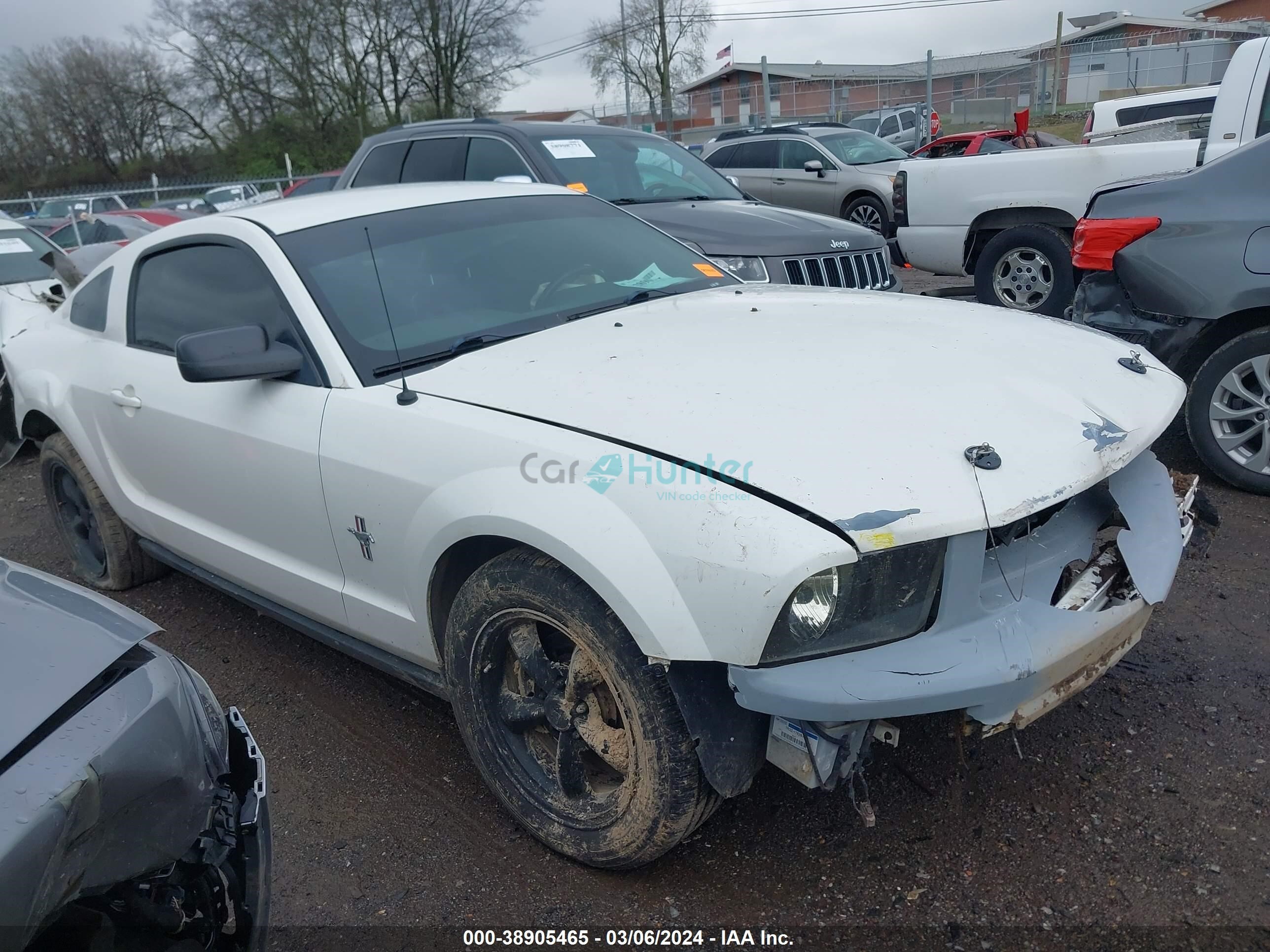 ford mustang 2006 1zvht80n965242962
