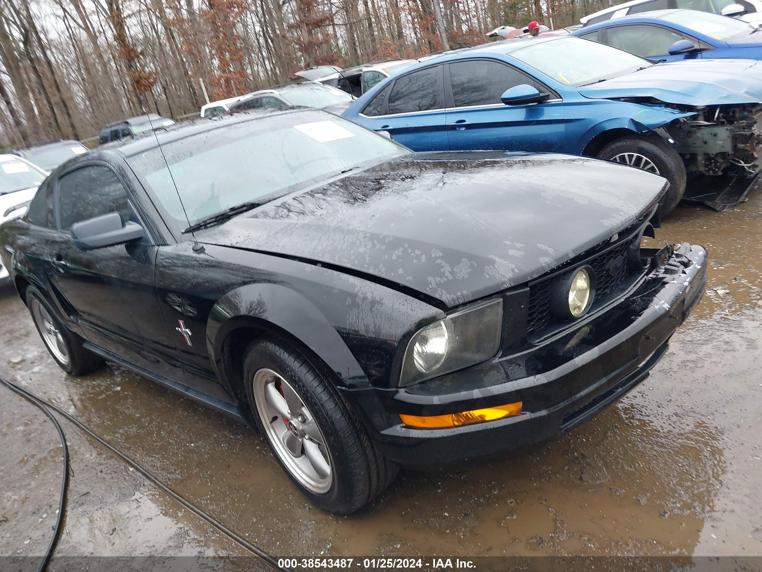 ford mustang 2006 1zvht80nx65170427