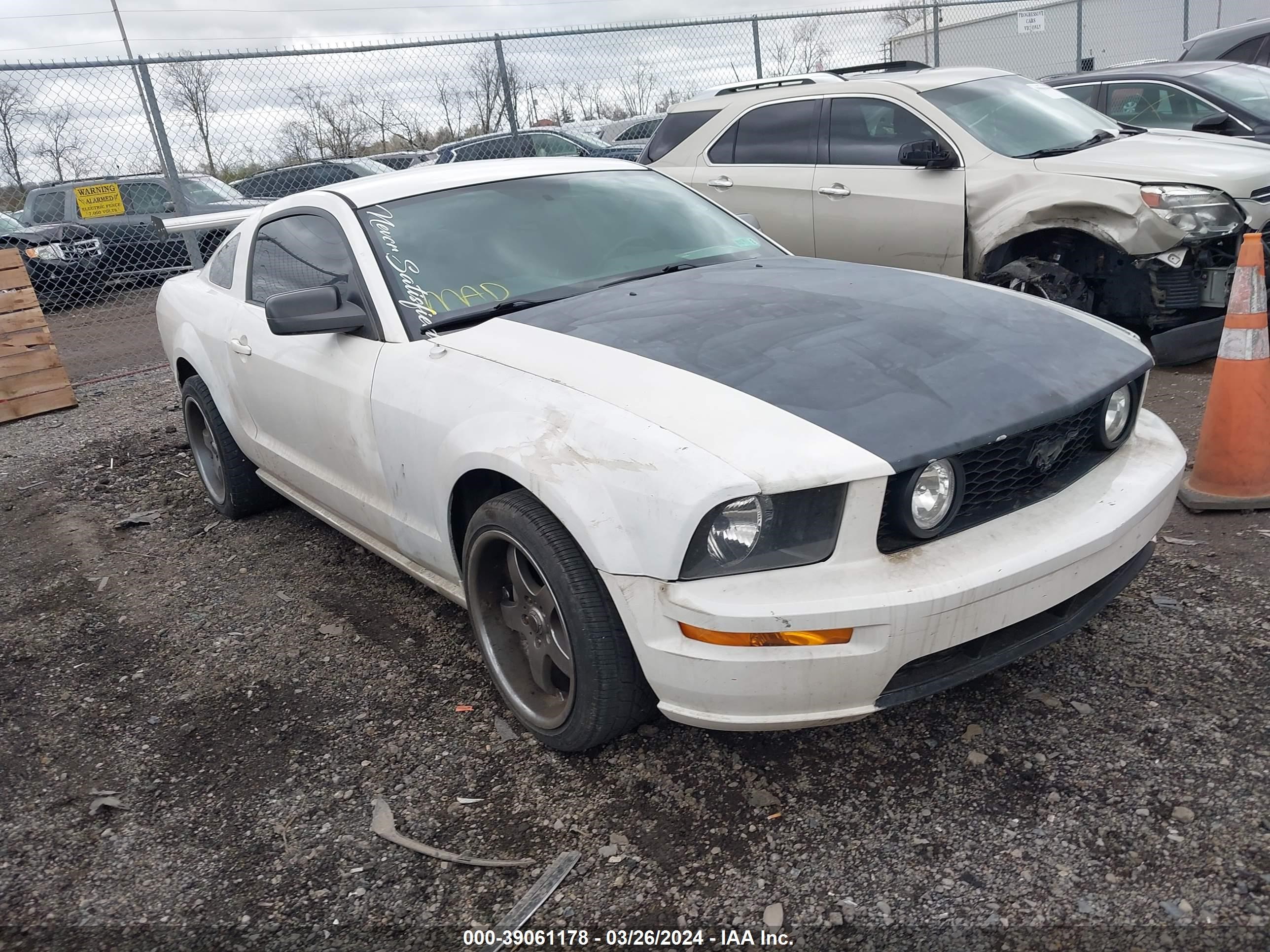 ford mustang 2006 1zvht82h065110499