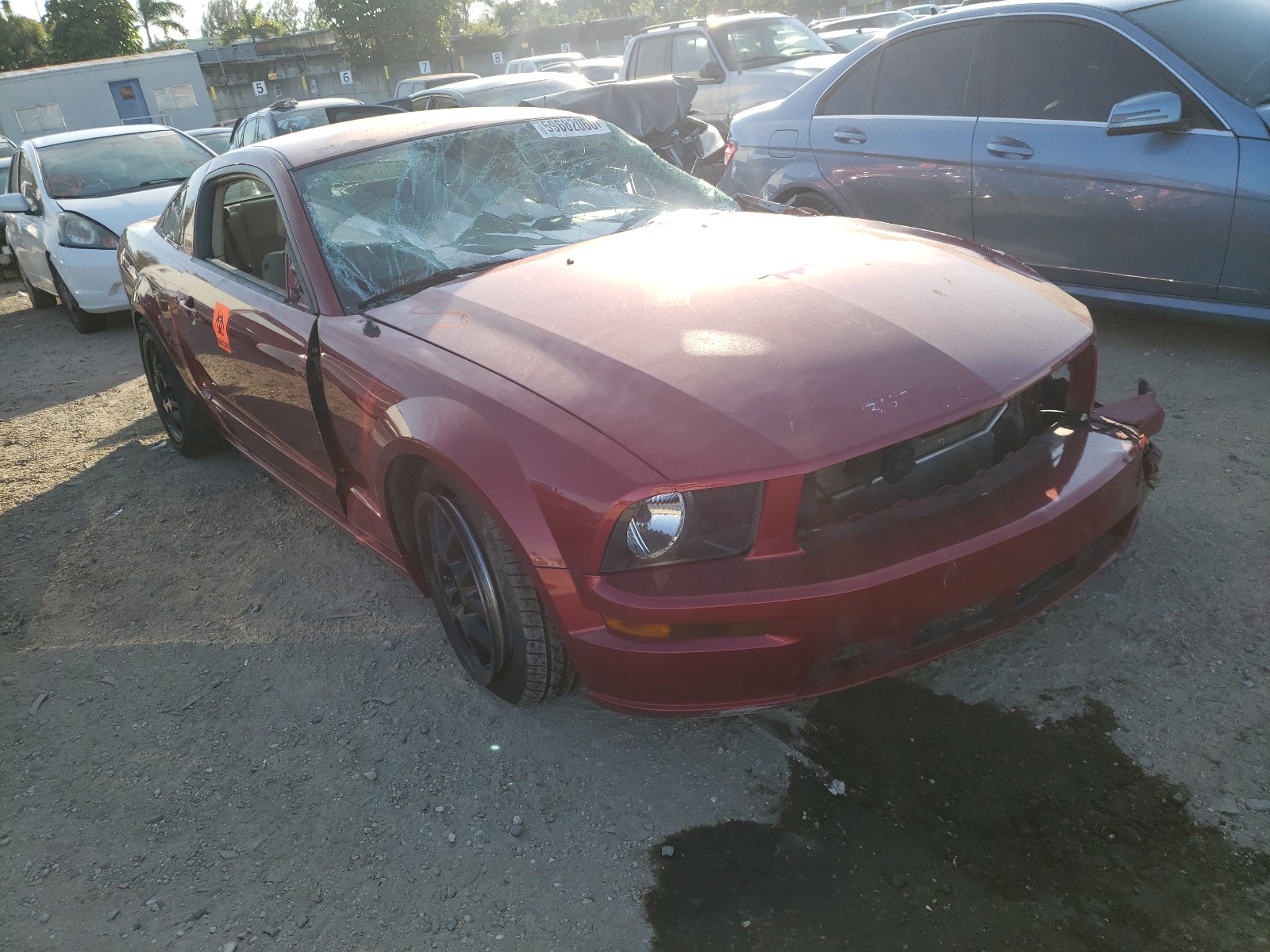 ford mustang gt 2006 1zvht82h065123480