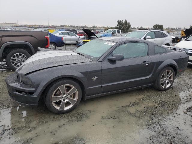 ford mustang gt 2009 1zvht82h095138551