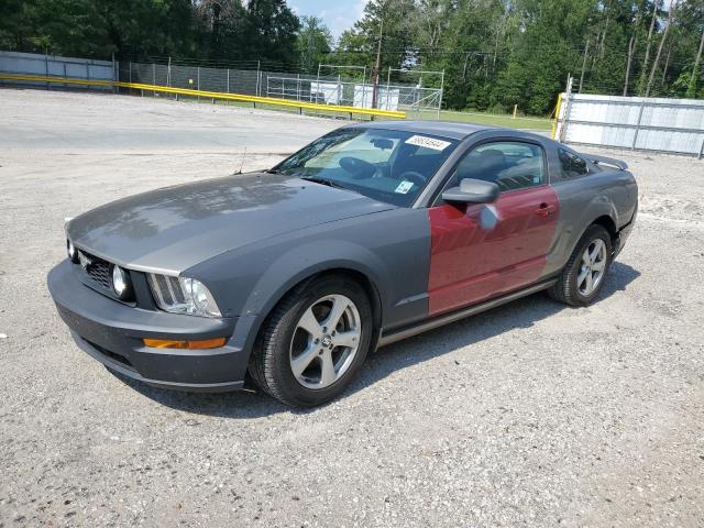 ford mustang 2005 1zvht82h255113404