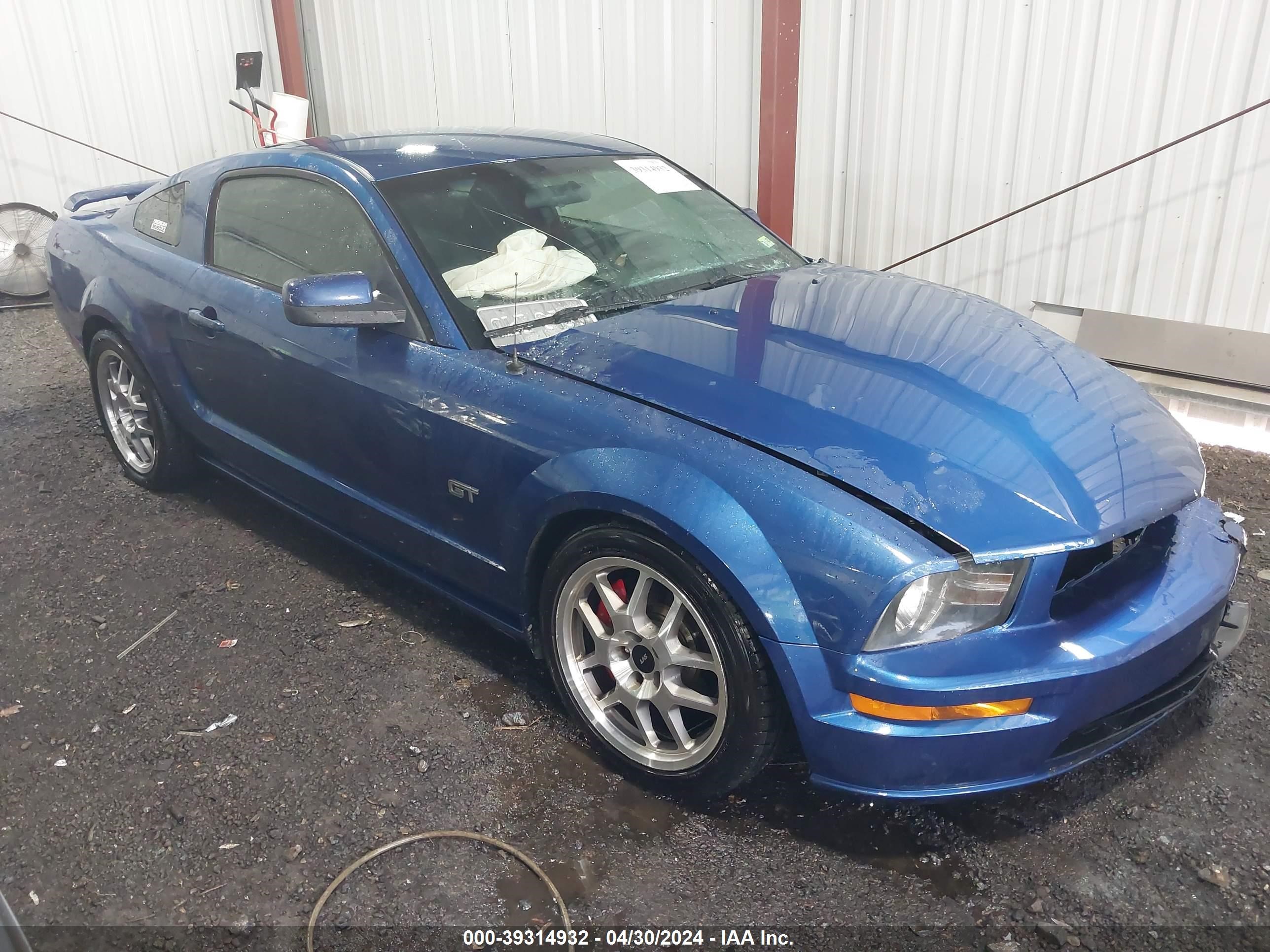 ford mustang 2006 1zvht82h265208403