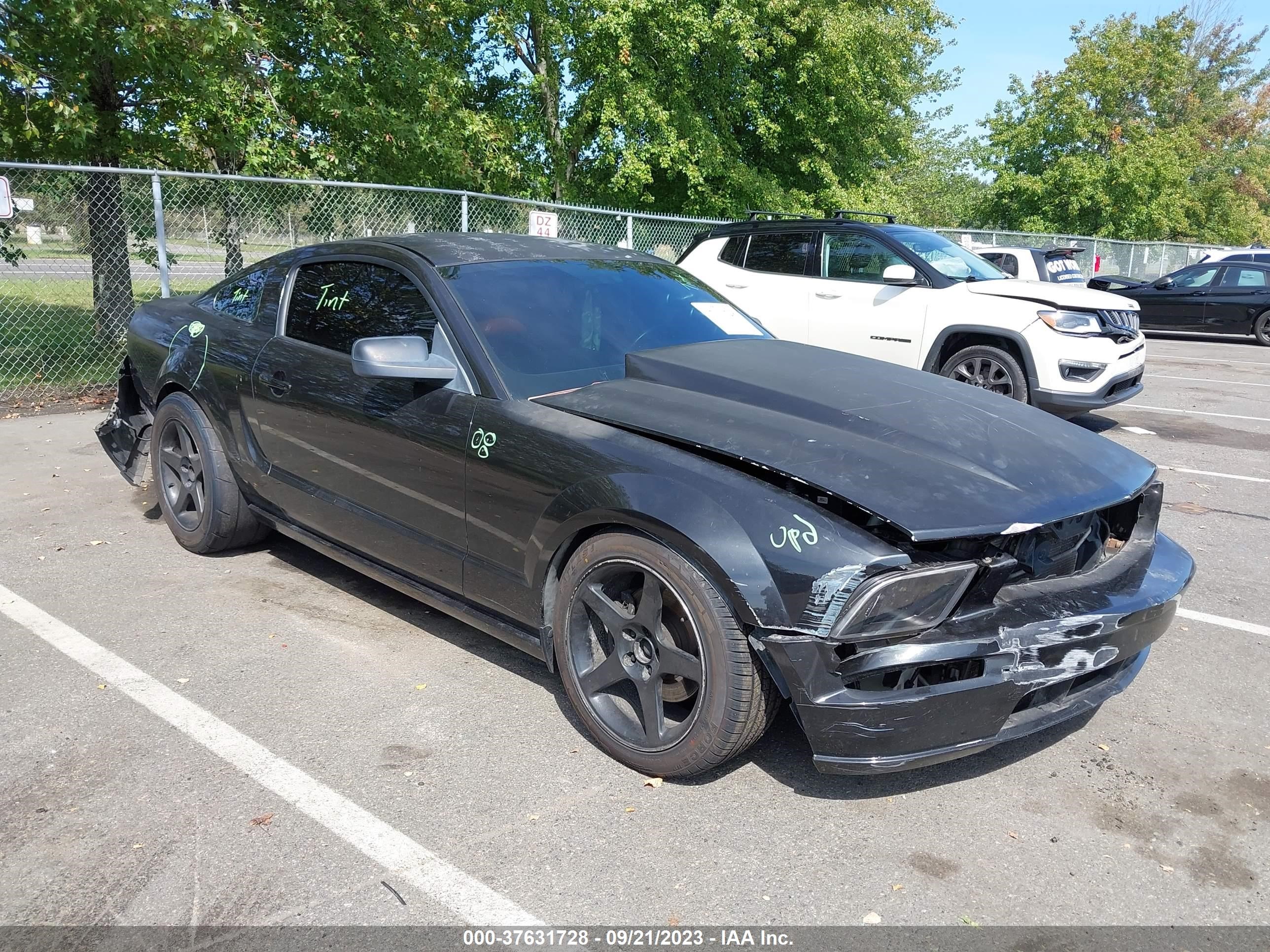 ford mustang 2006 1zvht82h465145997