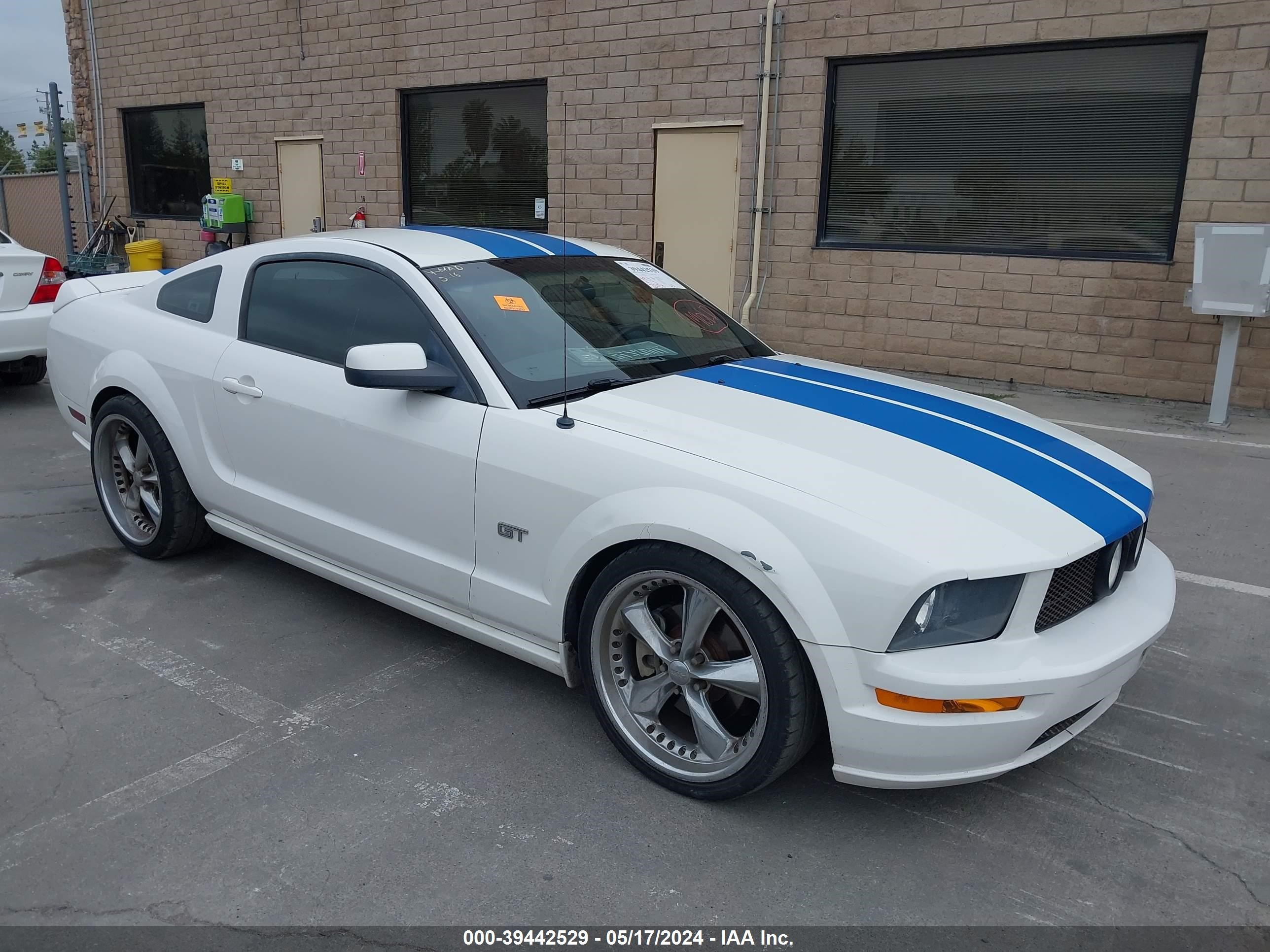 ford mustang 2006 1zvht82h565169273