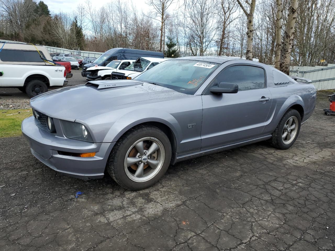 ford mustang 2006 1zvht82h565197364