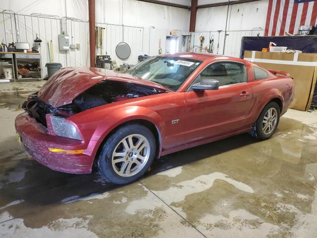 ford mustang 2006 1zvht82h665117554