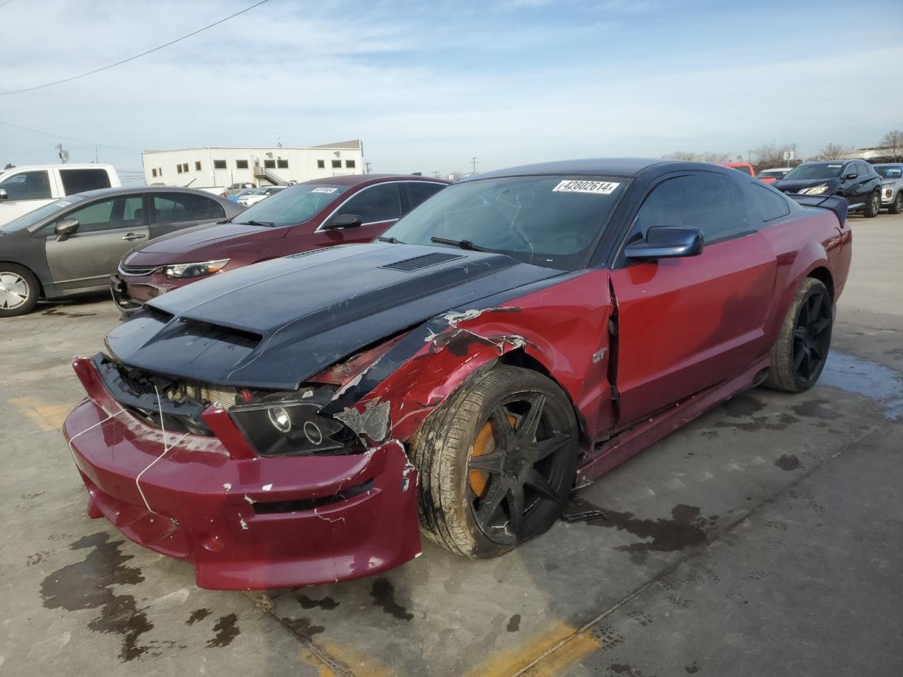 ford mustang 2008 1zvht82h885199449