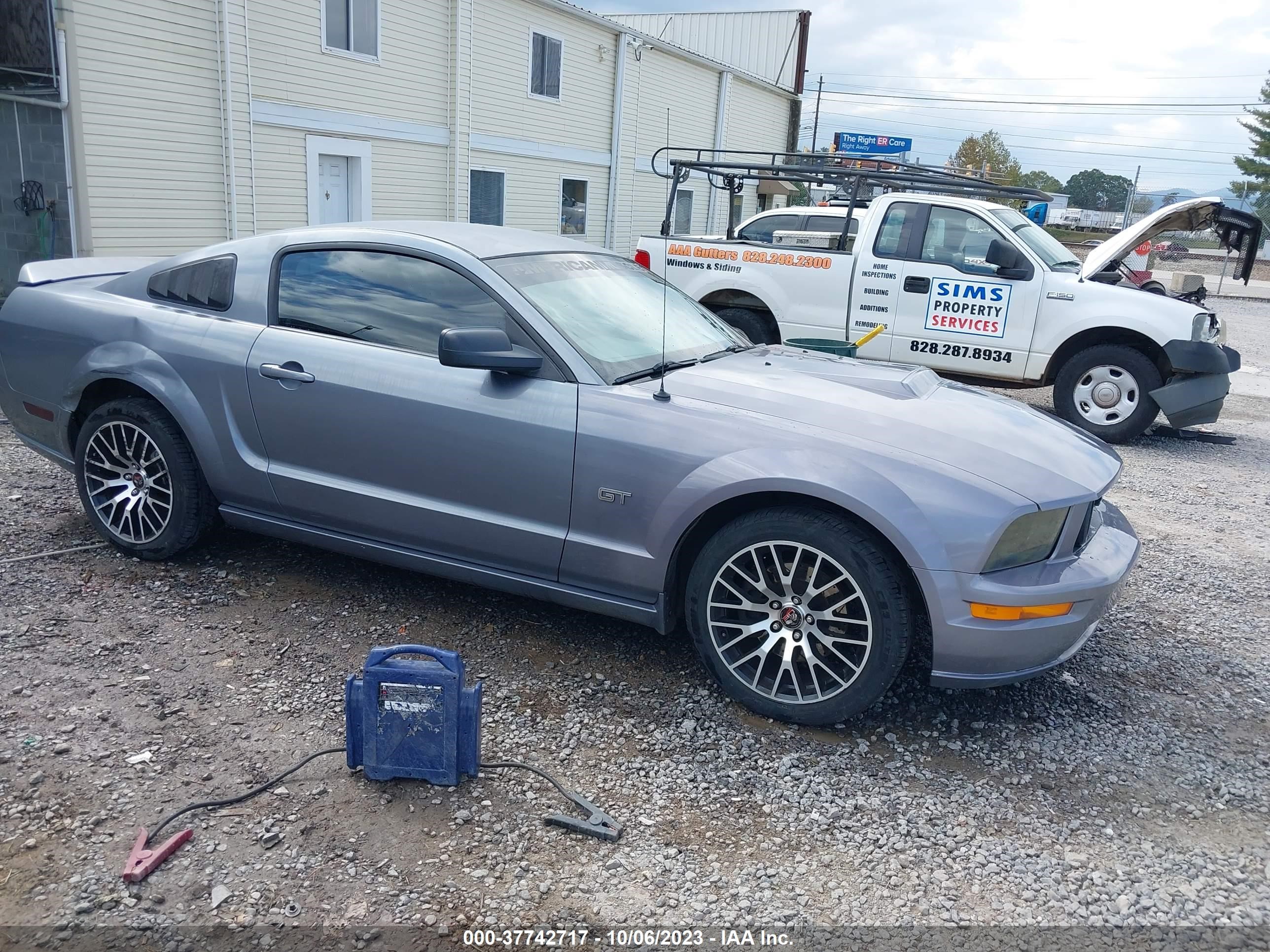 ford mustang 2006 1zvht82hx65125804