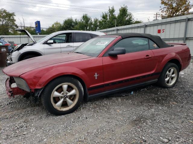 ford mustang 2007 1zvht84n075267339