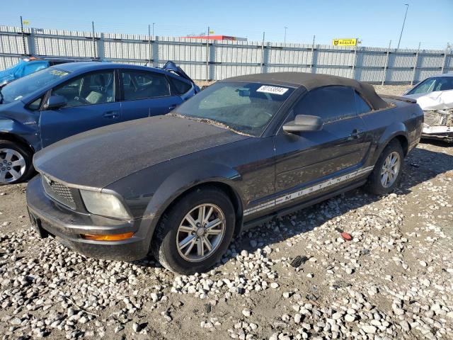 ford mustang 2008 1zvht84n085138101