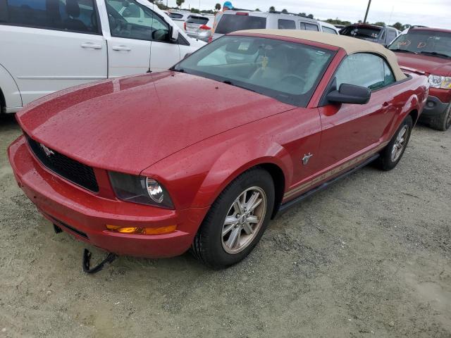 ford mustang 2009 1zvht84n095118609