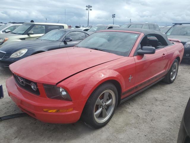 ford mustang 2006 1zvht84n365102352