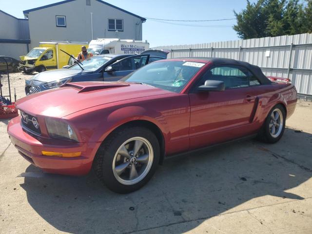 ford mustang 2006 1zvht84n565201190