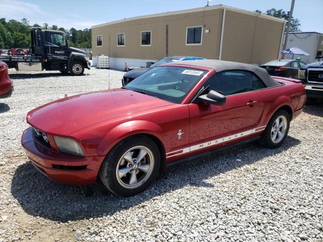 ford mustang 2008 1zvht84n585188993