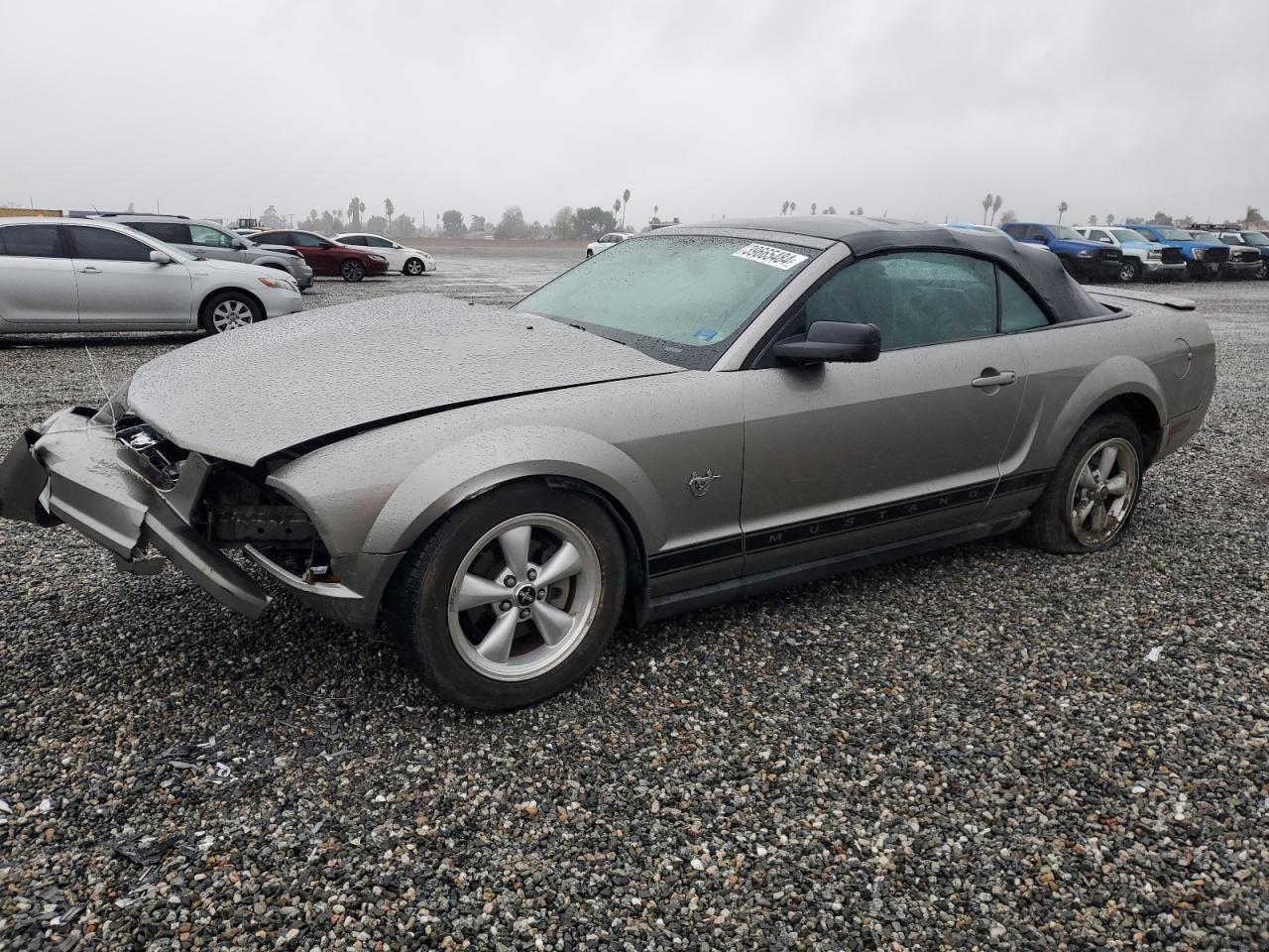 ford mustang 2009 1zvht84n595116404