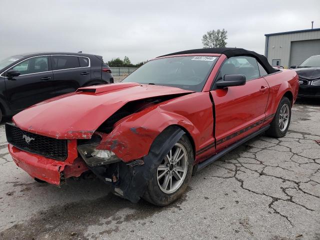 ford mustang 2005 1zvht84n655255242