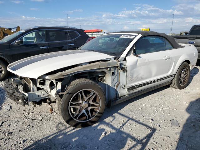 ford mustang 2008 1zvht84n785137107