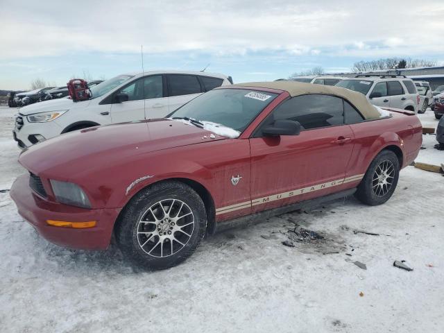 ford mustang 2009 1zvht84n795110734