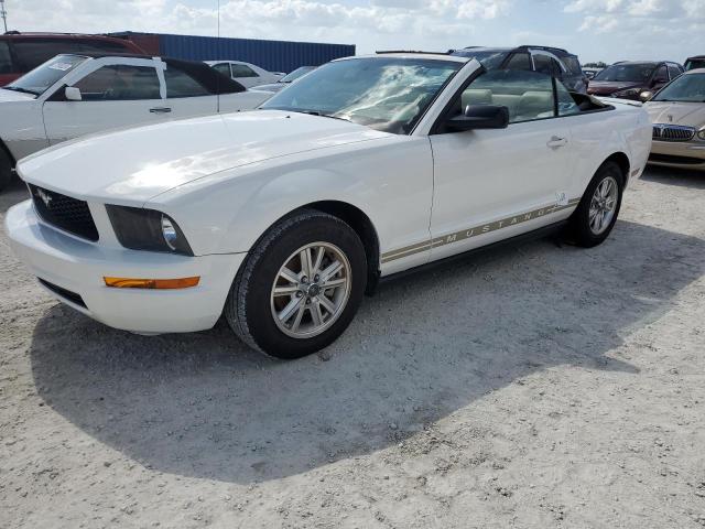 ford mustang 2008 1zvht84n885135205