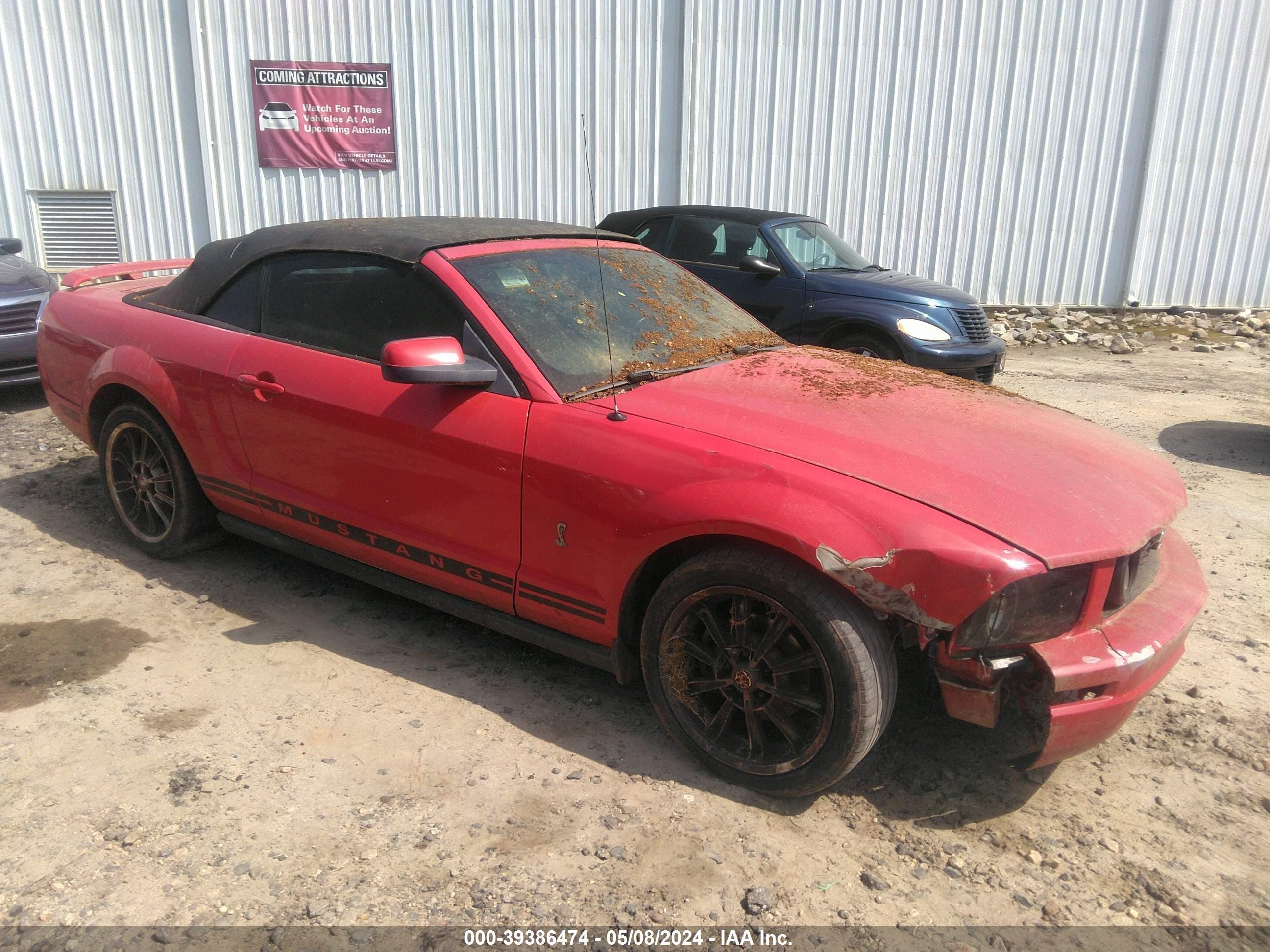 ford mustang 2005 1zvht84n955183484