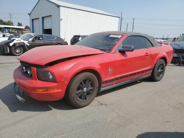 ford mustang 2006 1zvht84n965216016