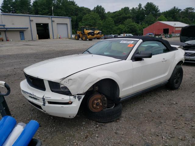 ford mustang 2008 1zvht84n985146326