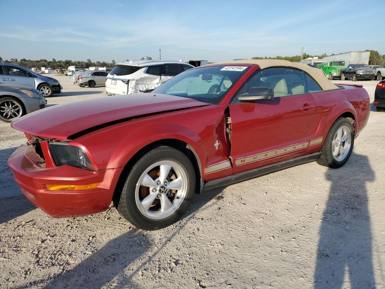 ford mustang 2008 1zvht84n985187362