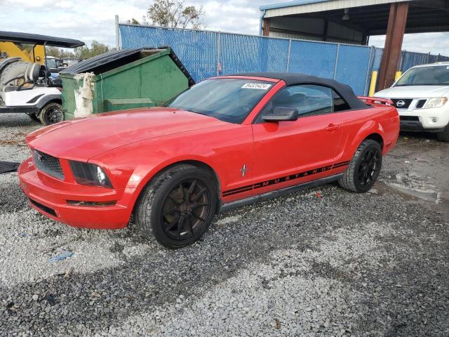 ford mustang 2006 1zvht84nx65103370