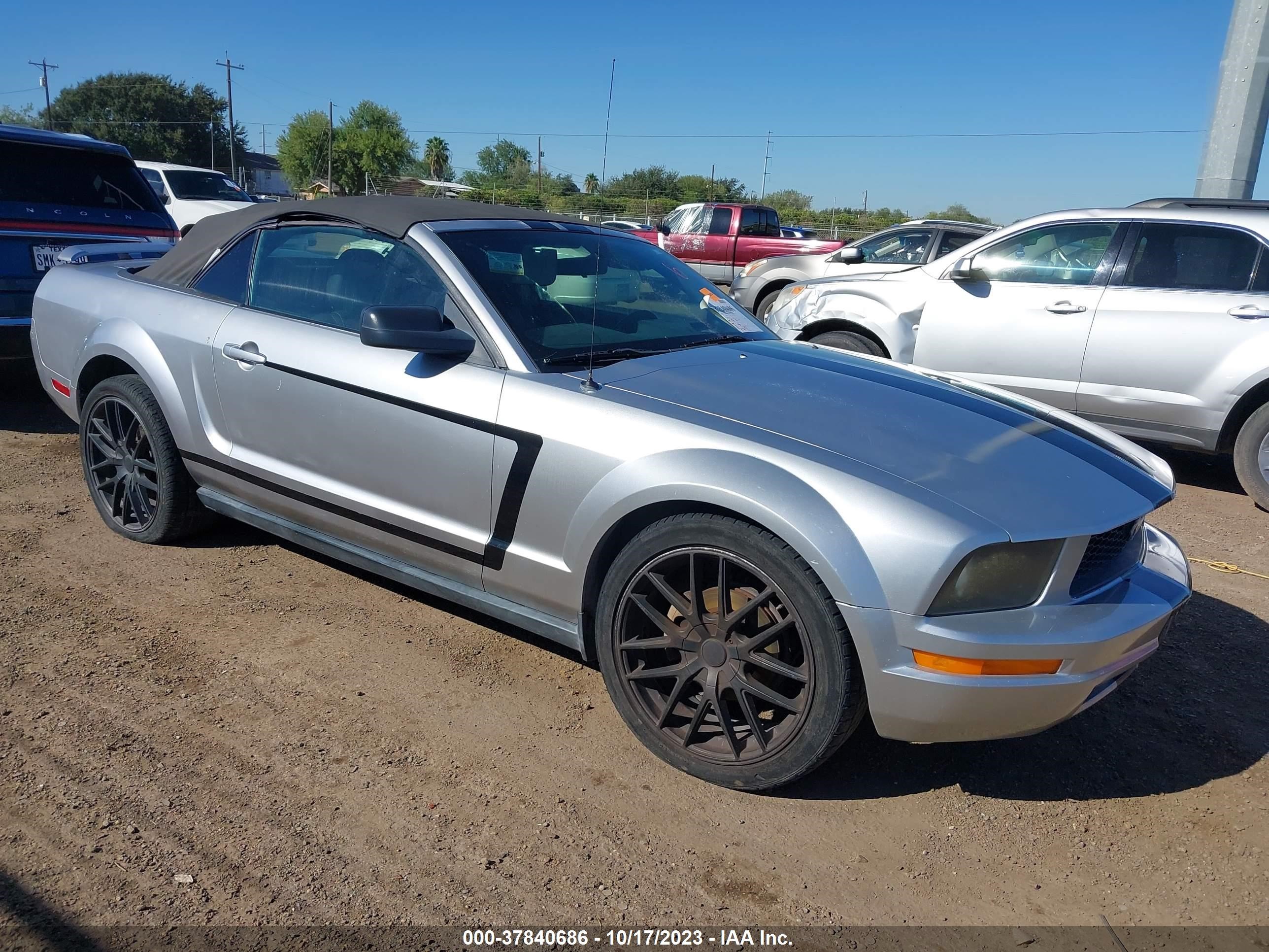 ford mustang 2006 1zvht84nx65106804