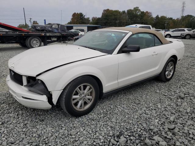 ford mustang 2008 1zvht84nx85194515