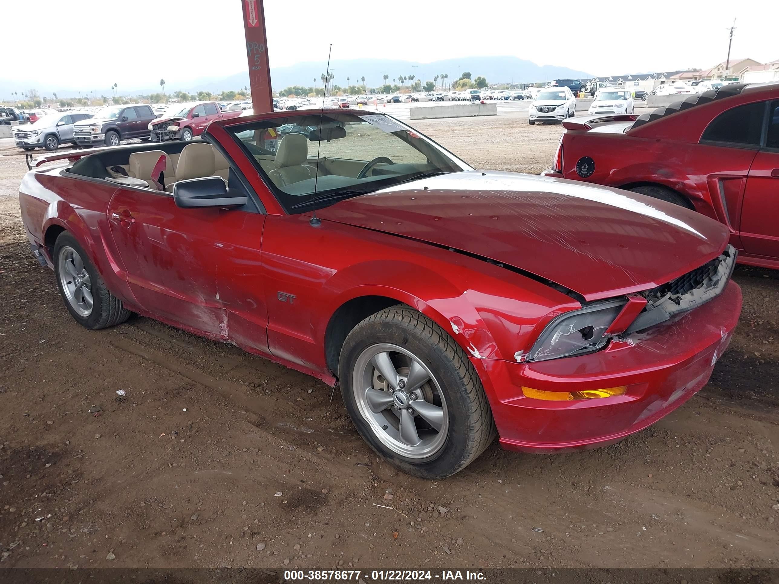 ford mustang 2005 1zvht85h055246013