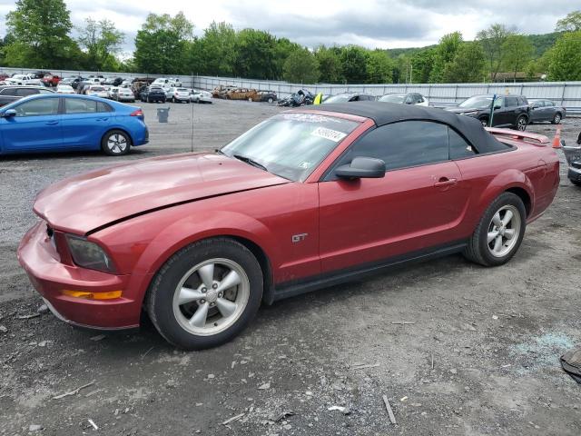 ford mustang 2007 1zvht85h075234169