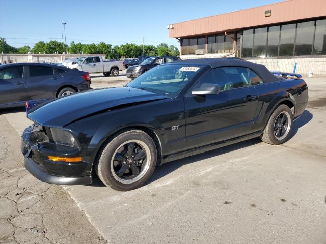 ford mustang 2005 1zvht85h455219333