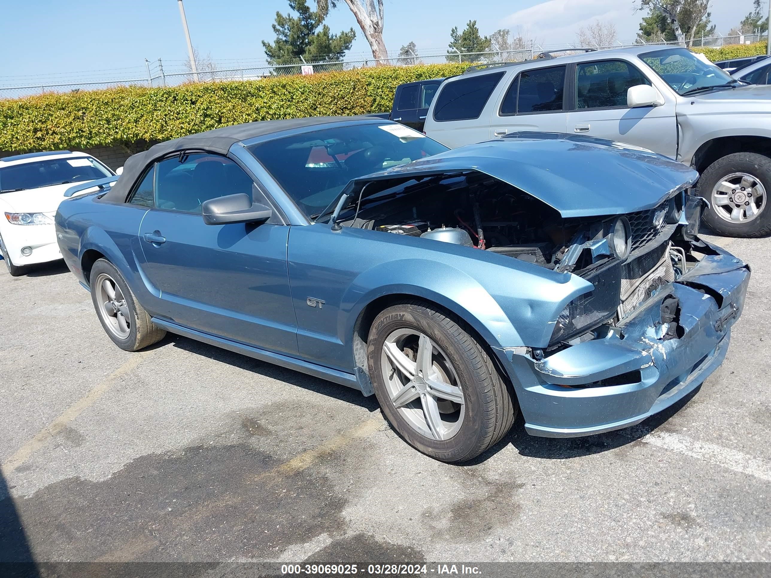 ford mustang 2006 1zvht85h565146992