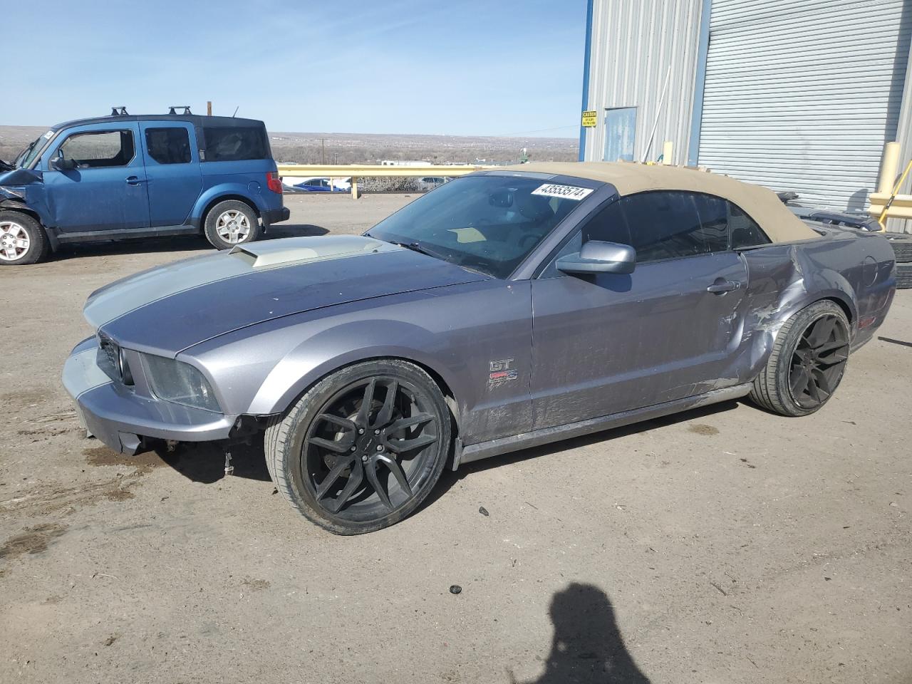 ford mustang 2006 1zvht85h665114455