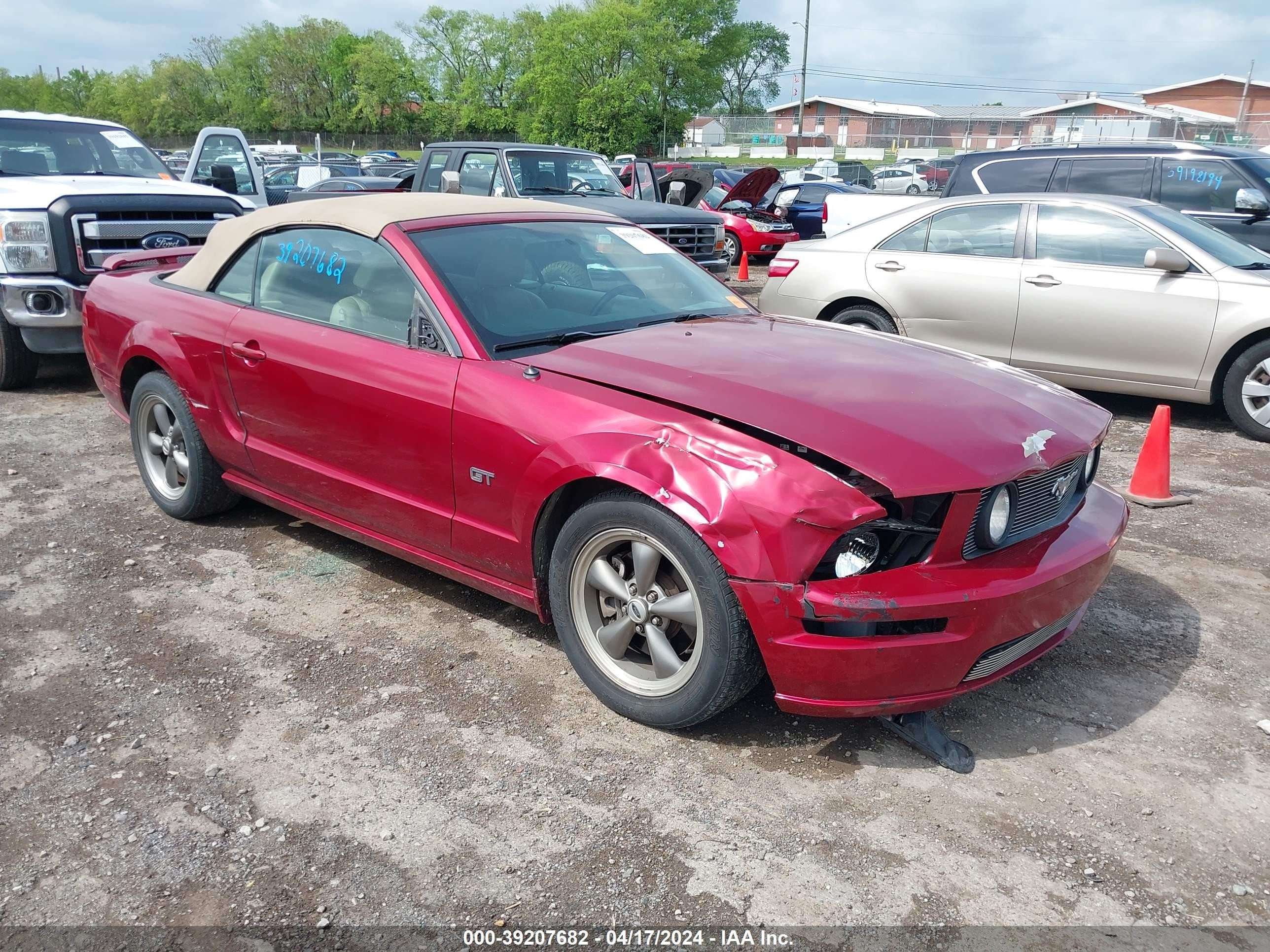 ford mustang 2006 1zvht85h665162005