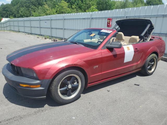 ford mustang 2006 1zvht85h665172145