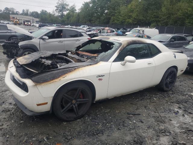 dodge challenger 2009 2b3lj54t89h603607