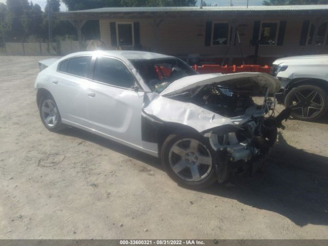 dodge charger 2019 2c3cdxat7kh553038