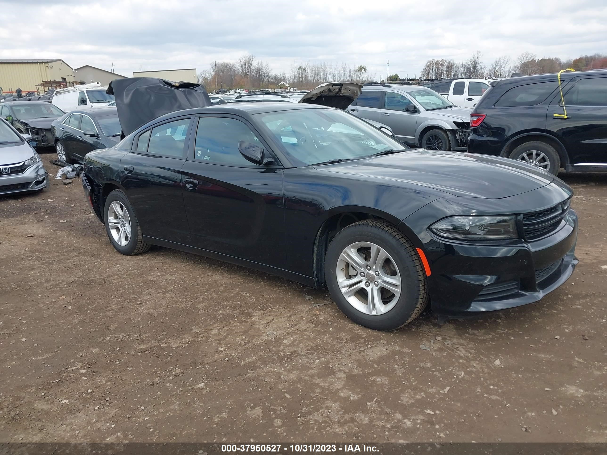 dodge charger 2023 2c3cdxbg2ph564134