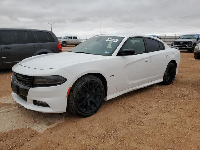 dodge charger r/ 2019 2c3cdxct2kh570228