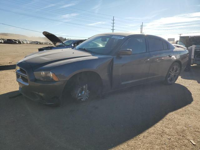 dodge charger r/ 2013 2c3cdxdt0dh681586