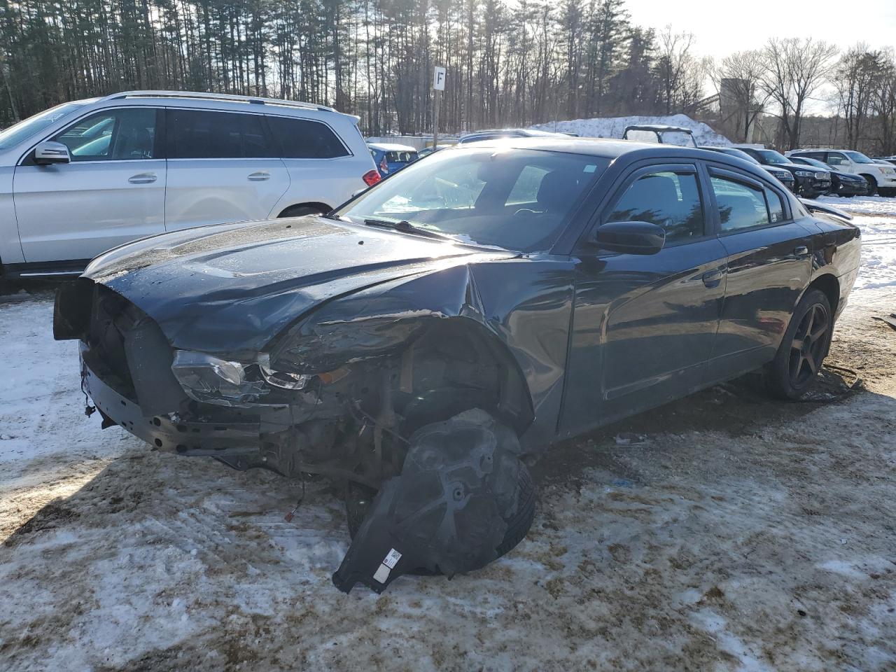 dodge charger 2014 2c3cdxdt1eh287418