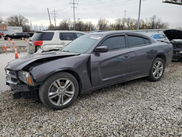 dodge charger r/ 2013 2c3cdxdt9dh738710