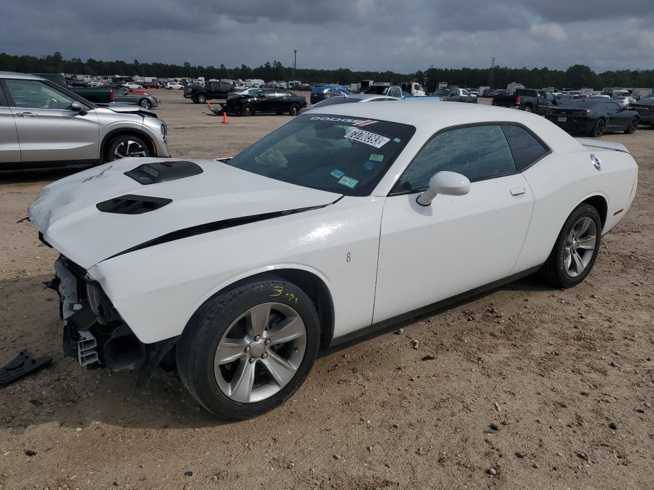 dodge challenger 2019 2c3cdzagxkh669977