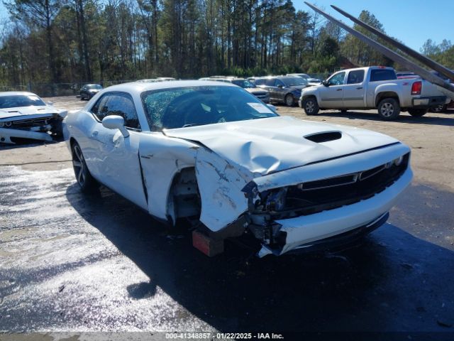 dodge challenger 2019 2c3cdzbt2kh641411