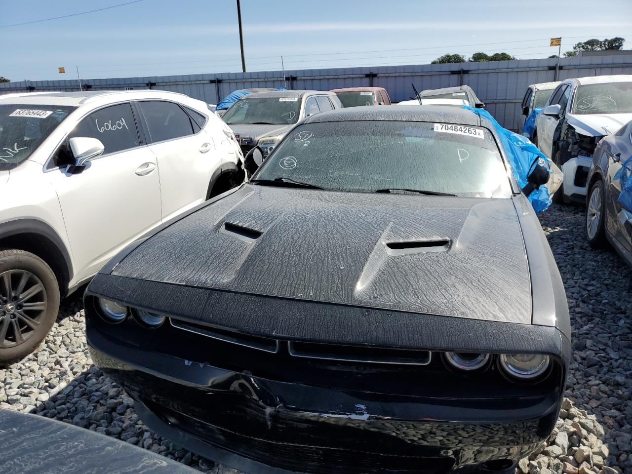 dodge challenger 2019 2c3cdzgg3kh629781