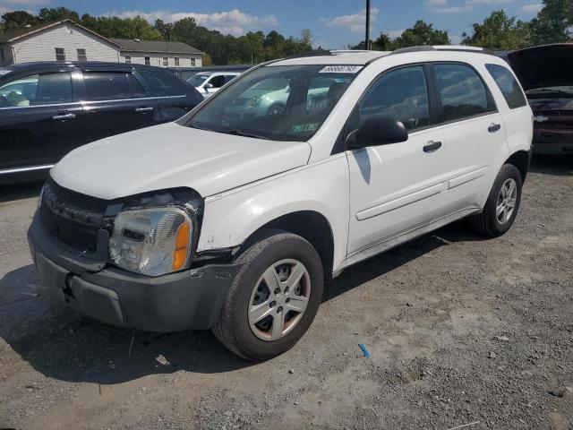 chevrolet equinox ls 2005 2cndl13fx56156281